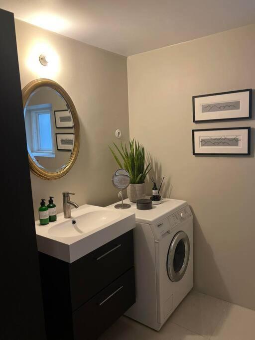 New Cozy Bohemian Dowtown Reykjavik Apartment Eksteriør billede